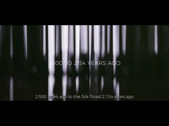 Promozione aziendale